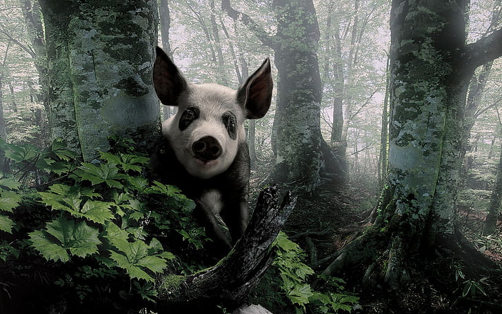 forest, landscapes, nature, pig, swine, trees, woods, HD wallpaper