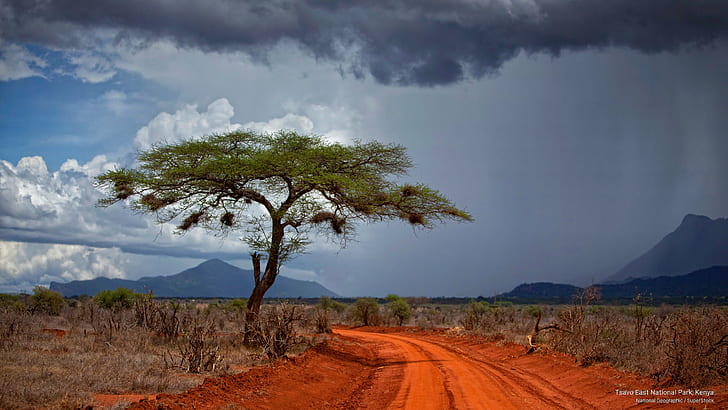 Tsavo East National Park, Kenya, Africa, HD wallpaper