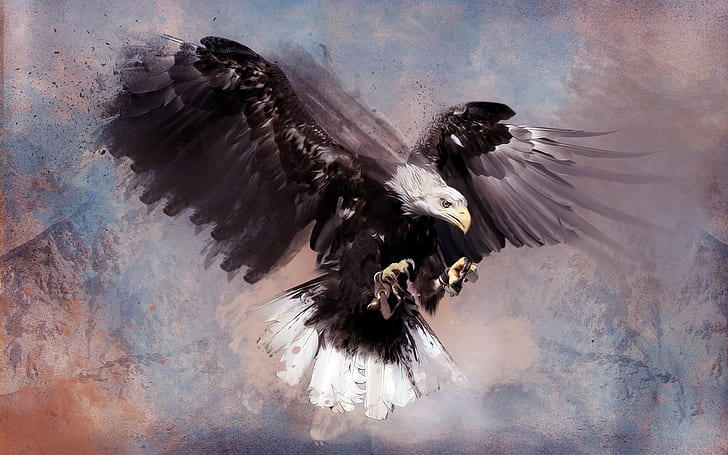 artwork, birds, eagle, animals, HD wallpaper