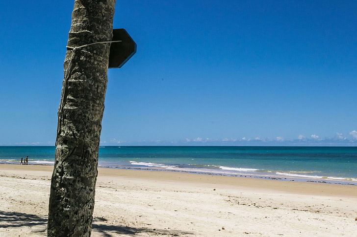 bahia, beach, blue sky, brasil, brazil, ocean, trancoso, sea, HD wallpaper