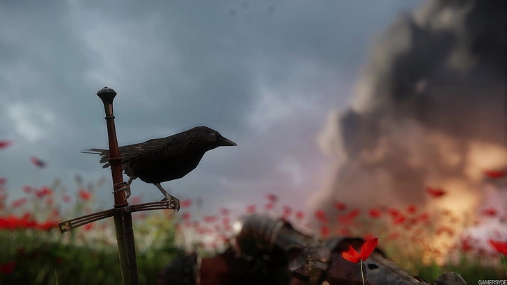 black bird, video games, Kingdom Come: Deliverance, Warhorse Studios