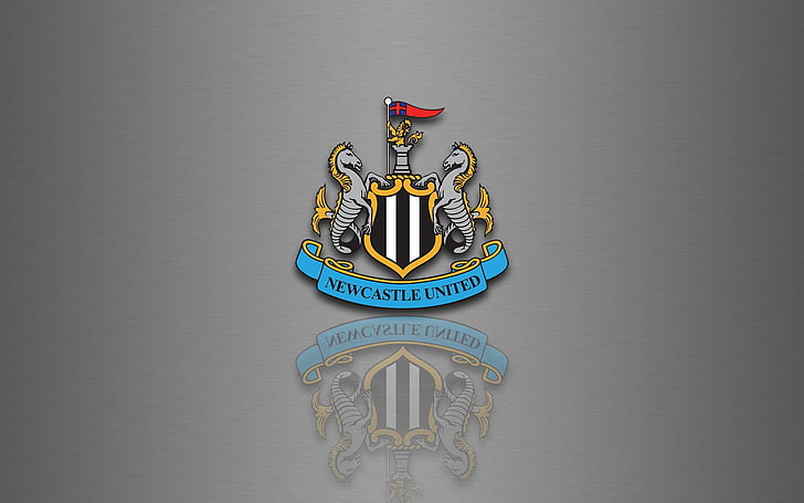 New Castle United logo, newcastle united, football, reflection, HD wallpaper