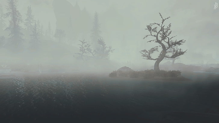 video games, The Elder Scrolls V: Skyrim, tree, fog, tranquility
