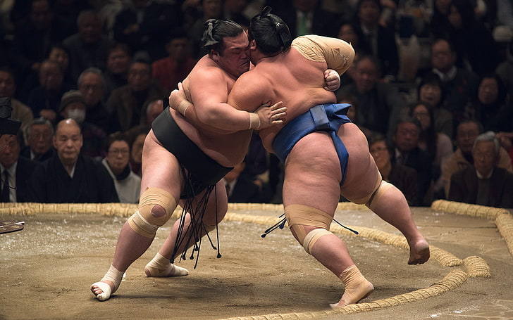 two men's blue and black sumo outfit, sport, fight, real people