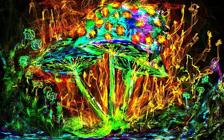 multicolored mushroom wallpaper, colorful, psychedelic, multi colored