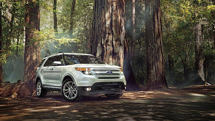 Ford, car, Ford Explorer, forest, tree trunk, white cars