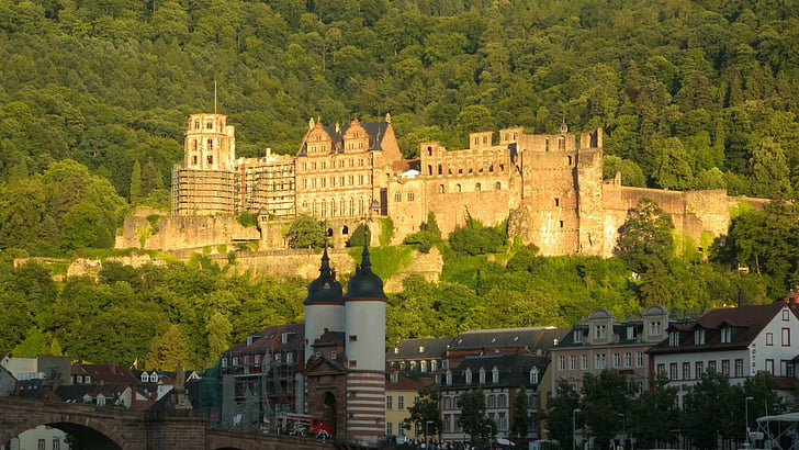 Castles, Heidelberg Castle, HD wallpaper