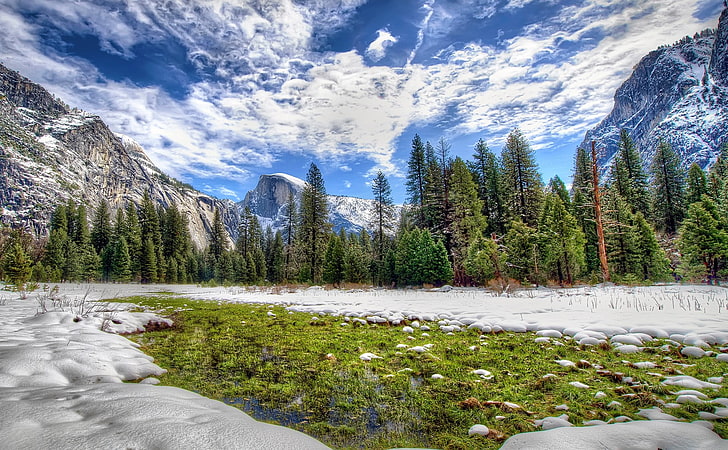 trees and mountain ranges, california, sierra nevada, hdr, nature, HD wallpaper