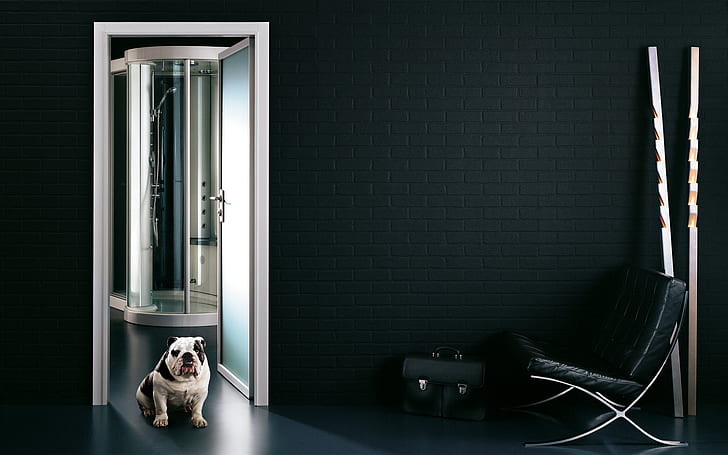 Security Guard Dog, bathroom, funny, bag, background, bodyguard, HD wallpaper
