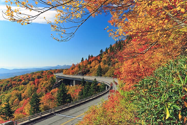 road, autumn, forest, trees, mountains, North Carolina, Blue Ridge Mountains, HD wallpaper