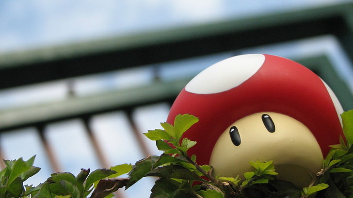 Supermario red mushroom toy, Toad (character), leaves, toys, Super Mario, HD wallpaper