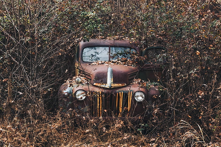 old, rust, plants, car, vehicle, wreck