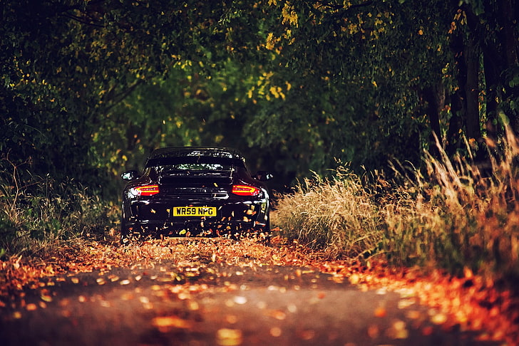 car, Porsche GT3, black cars, fall, leaves, road, depth of field