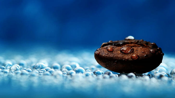 Coffee Bean, drops, brown, blue, macro, 3d and abstract
