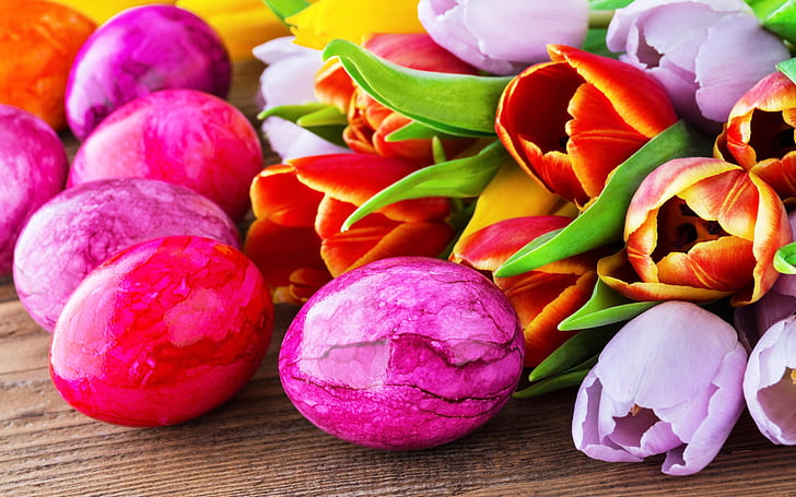 Easter eggs, Happy Easter, tulip flowers, HD wallpaper