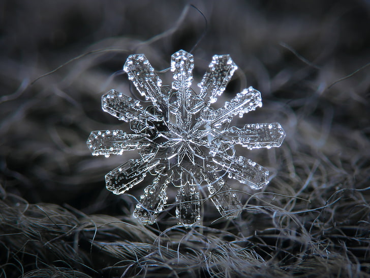 crystal, Detailed, Microscopic, Snow Flakes, cold temperature, HD wallpaper