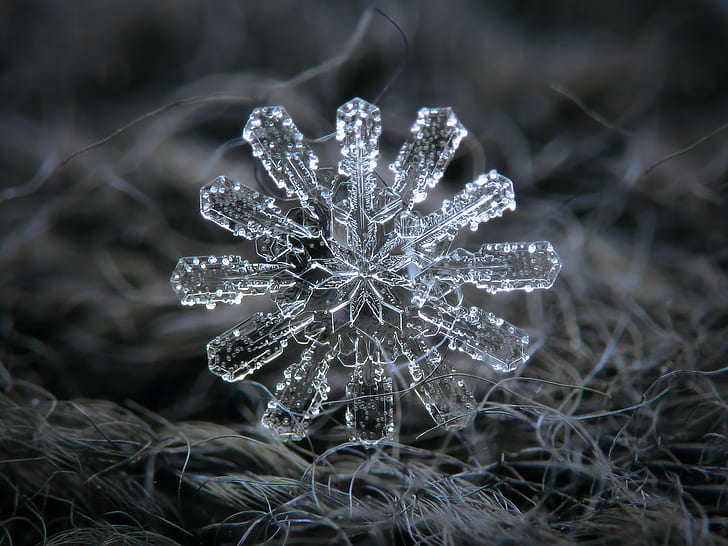 snow flakes, detailed, crystal, microscopic, HD wallpaper