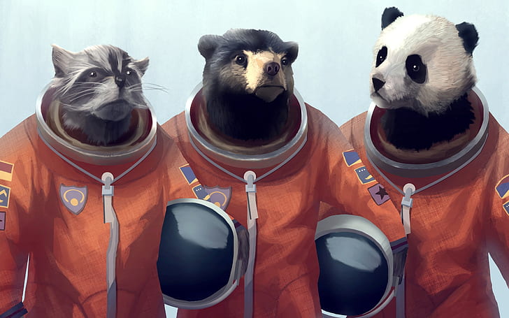 animals panda bears creative artwork bears cosmonaut furry fandom racoon furry 2560x1600 wallpape Animals Bears HD Art, HD wallpaper