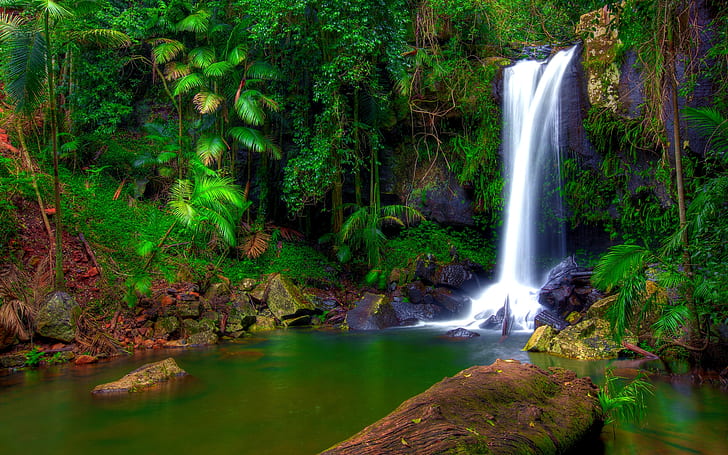 Wonderful Tropical Waterfall Jungle Green Tropical Vegetation Palm Trees Rocky Shore Rocks Moss Green Pool With Water Desktop Wallpaper Hd 1920×1200
