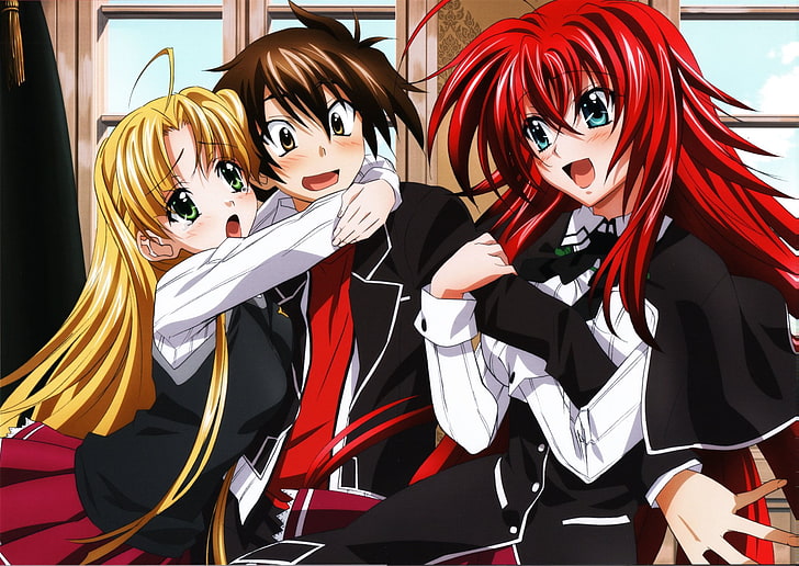 two female and male anime characters illustration, High School DxD