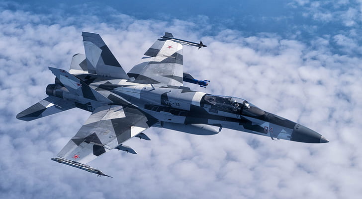 Fighter, USAF, F/A-18 Hornet, Aggressor Squadron, HD wallpaper