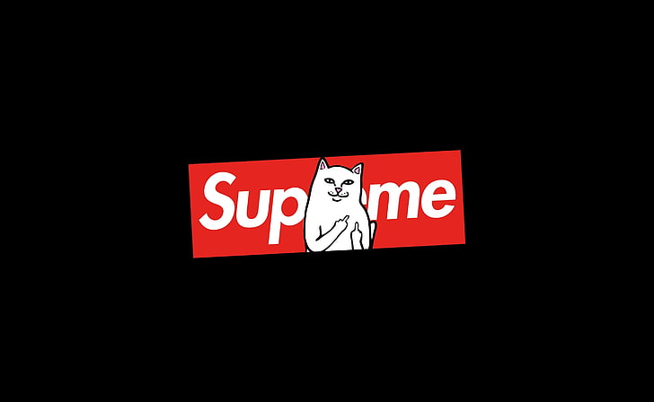 Supreme Cat, Supreme logo, Funny, communication, sign, text, red, HD wallpaper