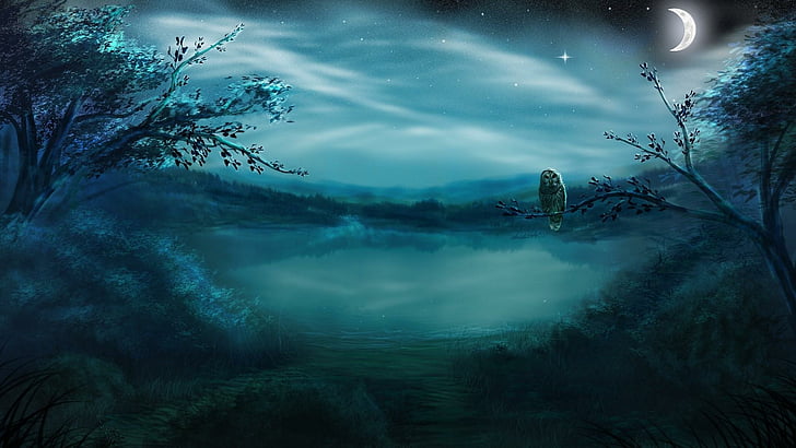 owl, night sky, moon, starry night, stars, lake, reflected, HD wallpaper