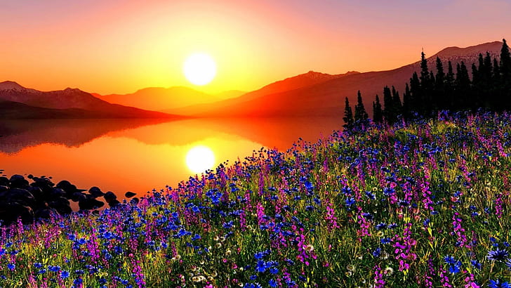 Sunset Mountain Meadow With Flowers, Pine Trees, Mountains, Sky Reflection On A Red In The Lake Hd Wallpapers For Desktop, HD wallpaper