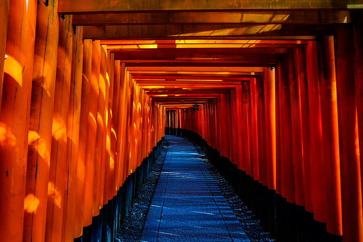 fushimi inari taisha, japan, temple, torii, the way forward, HD wallpaper