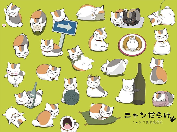 Hd Wallpaper Green And White Cat Print Board Natsume Book Of Friends Natsume Yuujinchou Wallpaper Flare