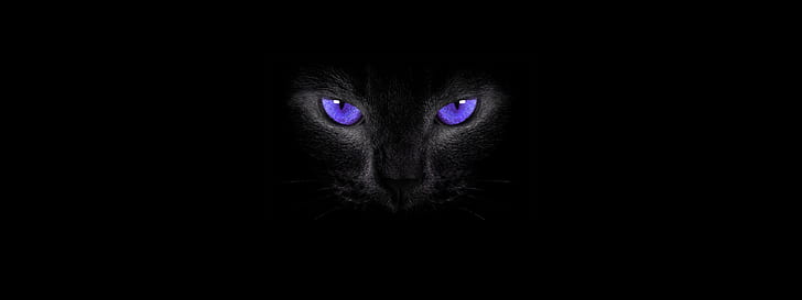 HD wallpaper: cat eyes, simple background, black cats, smoky eyes ...