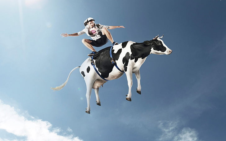 white and black cow, men, skateboard, humor, sky, full length, HD wallpaper