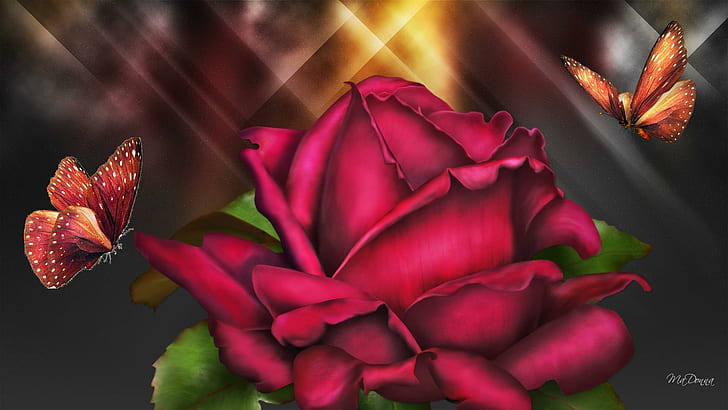 Shine On Rose, red rose graphics, shiny, firefox persona, flower, HD wallpaper
