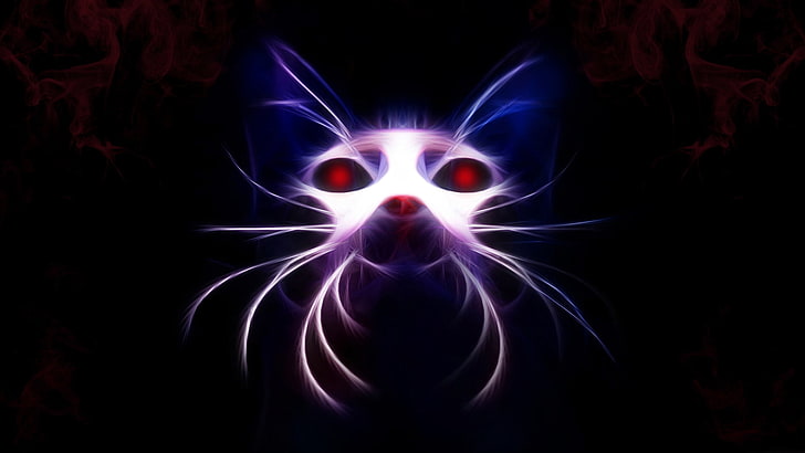 cat illustration, muzzle, neon, light, dark, abstract, backgrounds, HD wallpaper