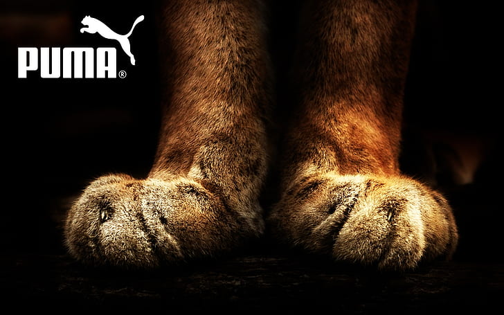 PUMA Logo, clothes, brand, company, background, advertising, poster, HD wallpaper