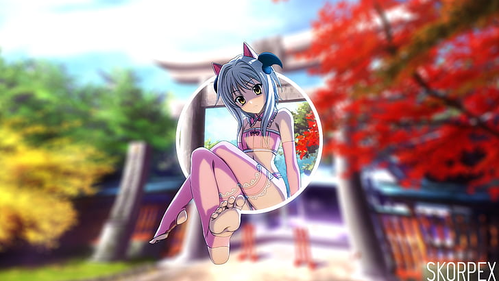 anime girls, feet, Highschool DxD, HD wallpaper