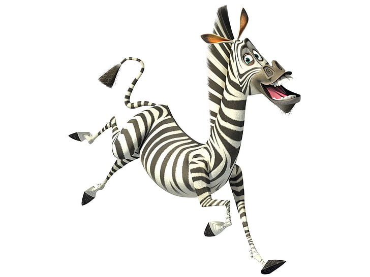 HD wallpaper: madagascar, striped, zebra, white background, mammal, animal  themes | Wallpaper Flare