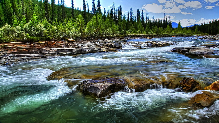 landscape, river, water, nature, trees, stream, beauty in nature, HD wallpaper