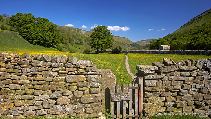 Buttercup Meadow, Swaledale, North Yorkshire, England, Europe, HD wallpaper