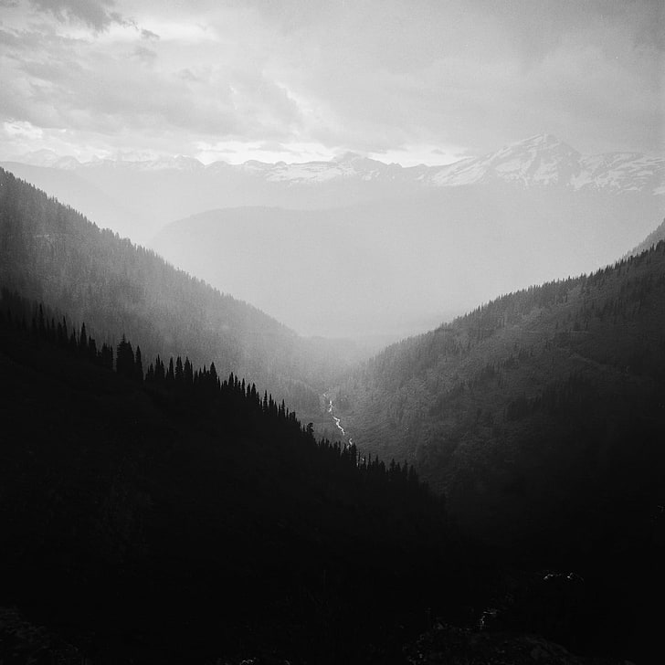 greyscale photography of mountains, valley, mist, monochrome