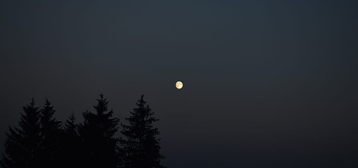 sky, sunset, moonlight, HD wallpaper