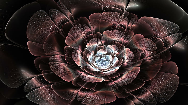 flower, fractal art, cool, petal, abstract art, digital art, HD wallpaper