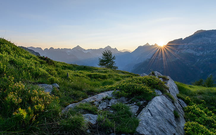 Alps, Switzerland, mountains, dawn, sunrise, green grasses and sunset view, HD wallpaper
