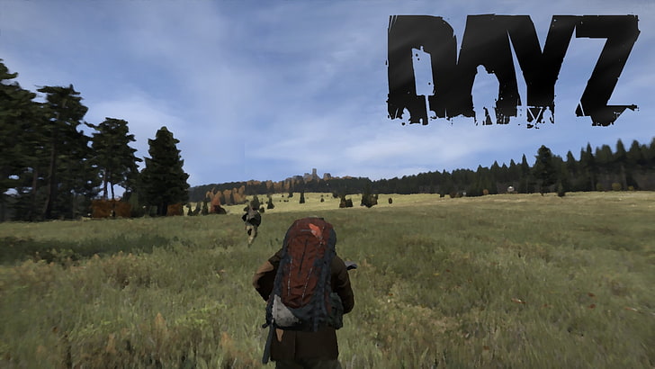 DayZ, Standalone, video games, plant, sky, real people, tree