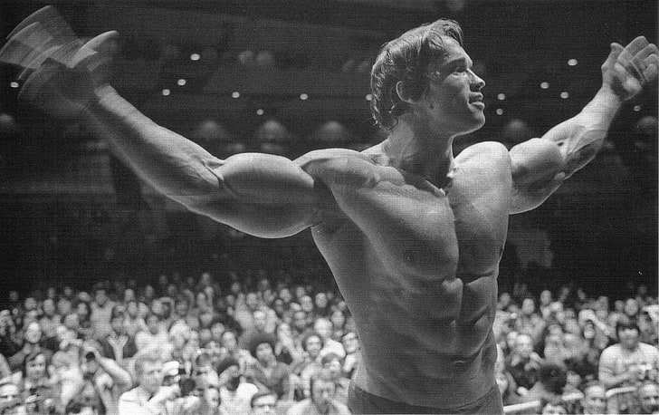 Arnold Schwarzenegger, bodybuilding, Bodybuilder, barbell, dumbbells, HD wallpaper