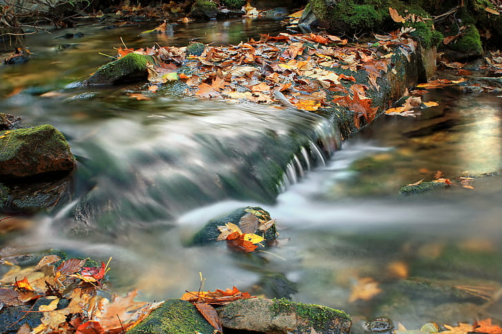 time lapse photography of river surrounded by withered leaf, Detweiler, HD wallpaper