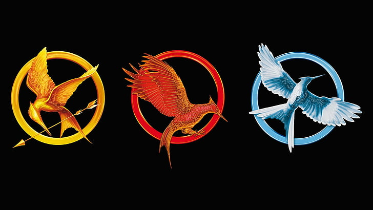 The Hunger Games Catching Fire Katniss Everdeen Desktop Wallpaper   Somerset County