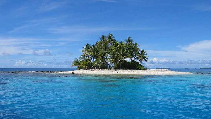 green palm trees, island, sea, landscape, nature, beach, water, HD wallpaper