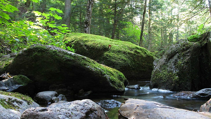 Moss Rock Stone Stream Forest HD, nature, HD wallpaper