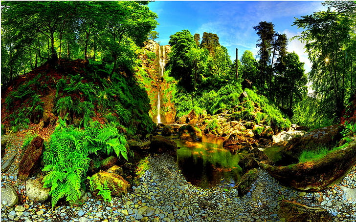 Nature's Paradise, forest, landscape, falls, nature and landscapes, HD wallpaper